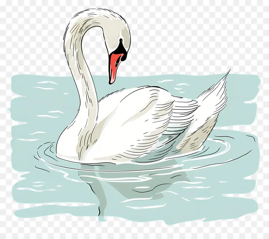 Piscine Swan，Cygne PNG