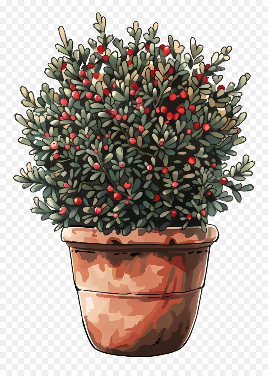 Arbuste De Jardin，Pot En Argile PNG