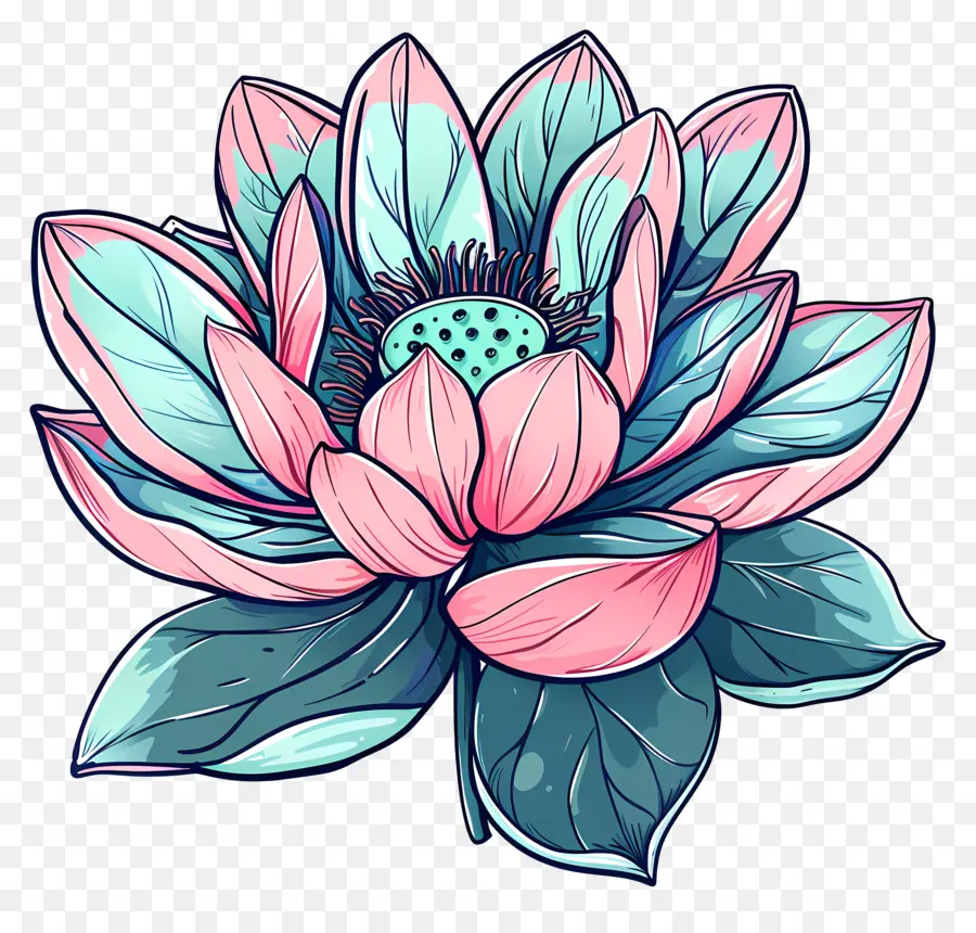 Fleur De Lotus，Coloré PNG