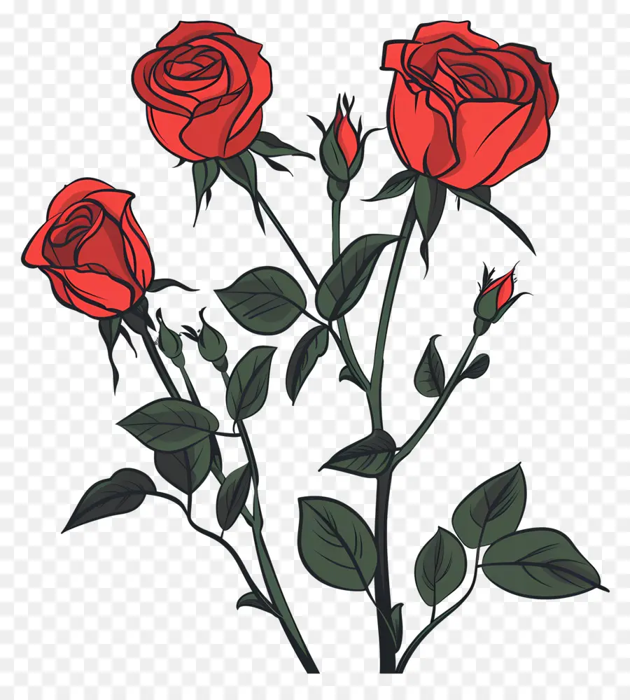 Les Roses Rouges，Rose Rouge PNG