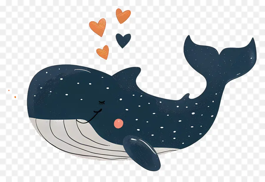 Dessin Animé De La Baleine，Baleine PNG