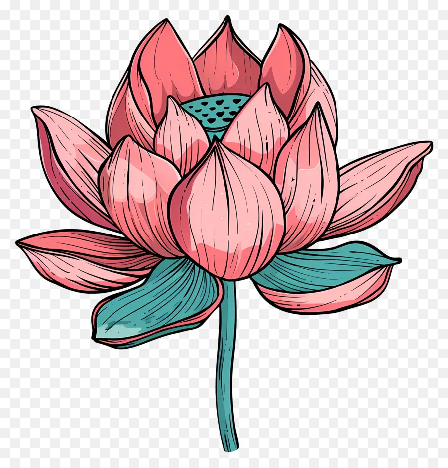 Fleur De Lotus，Nénuphar PNG