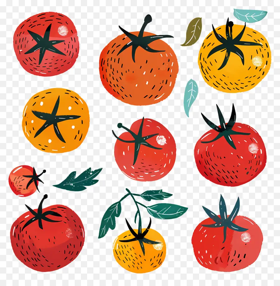 Tomates，Récolte PNG