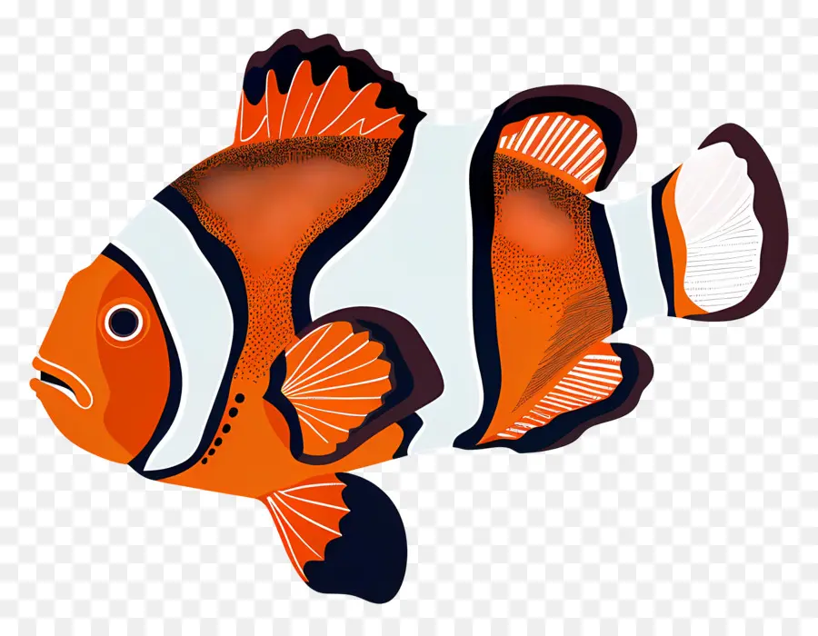 Des Poissons Clowns，Poisson Clown PNG