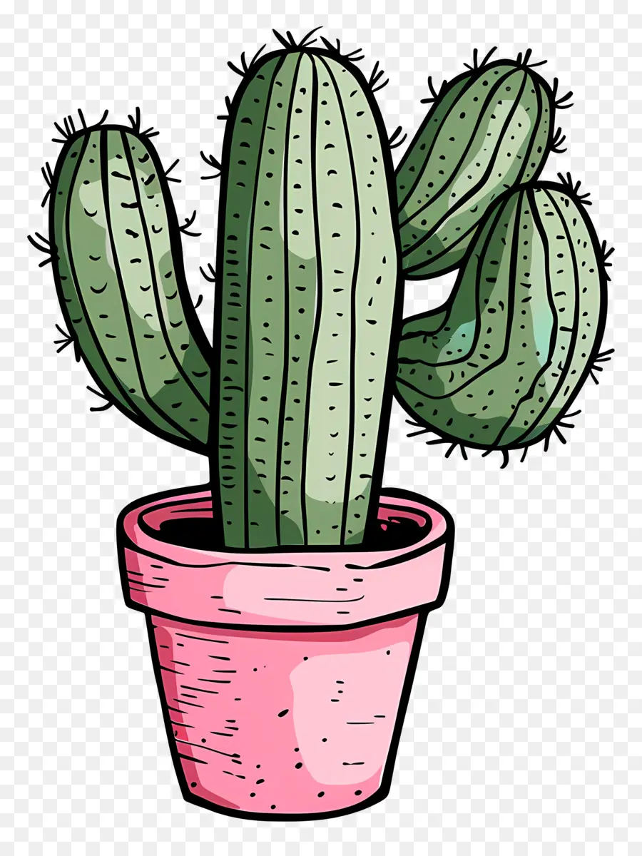 Pot De Cactus，Cactus PNG