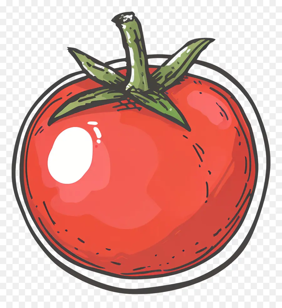 Tomate，Frais PNG