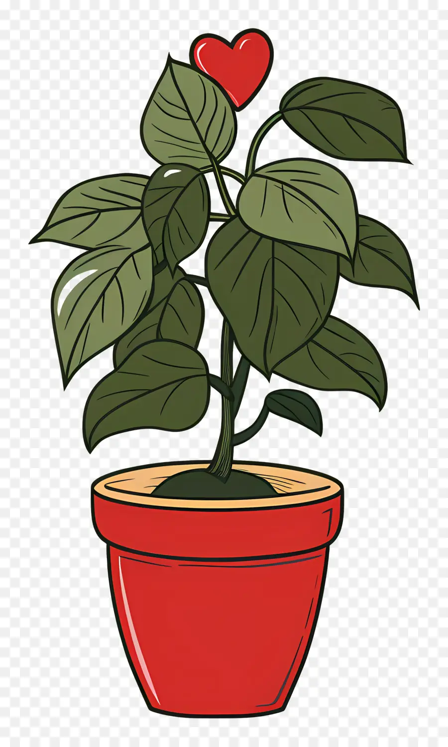 Plante De Stephania，Plante En Pot PNG