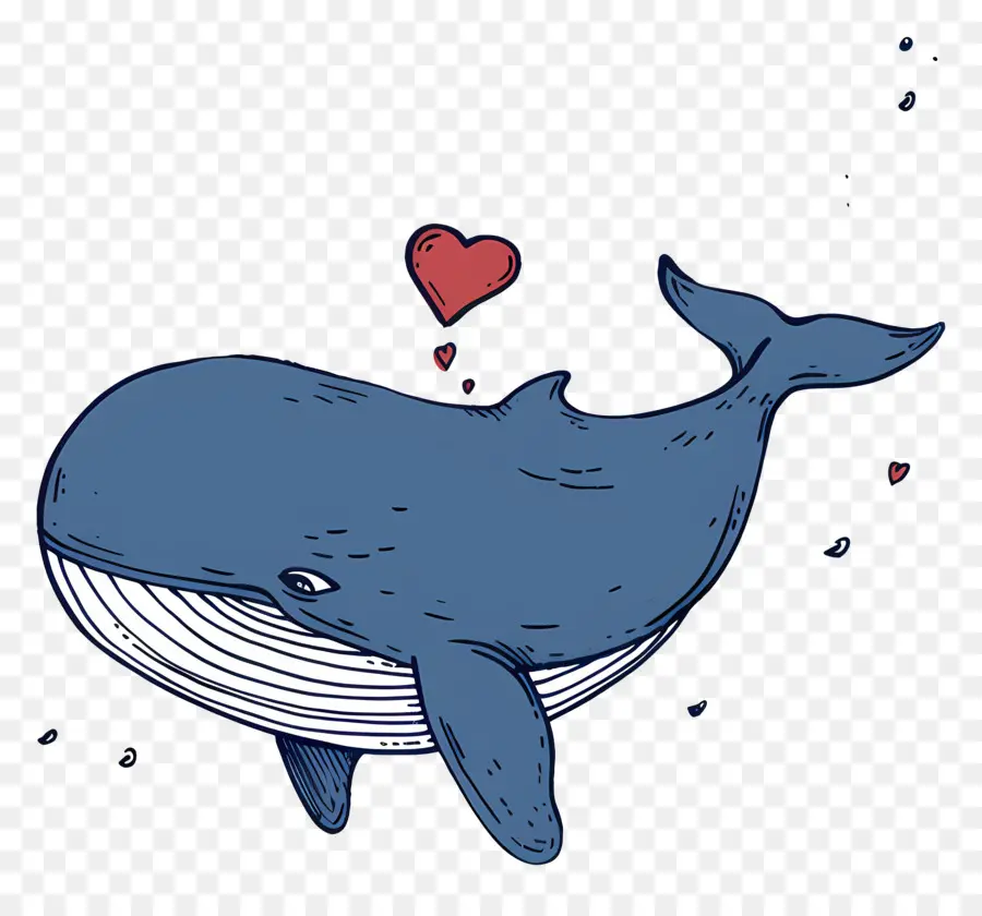 Dessin Animé De La Baleine，Baleine PNG