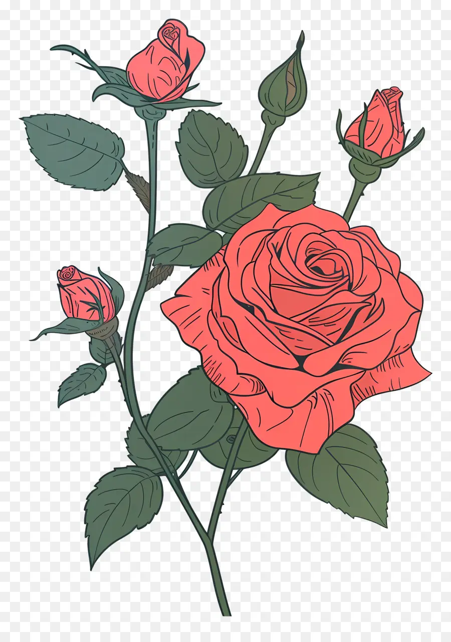 Les Roses Rouges，Rose Rose PNG