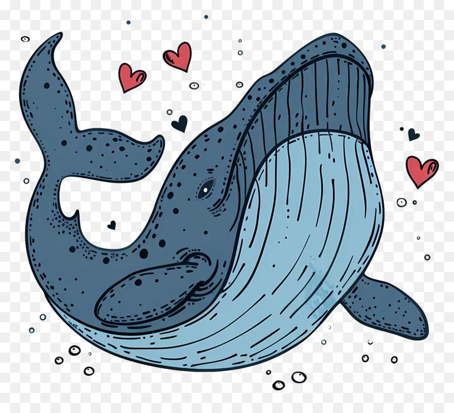 Dessin Animé De La Baleine，Baleine PNG