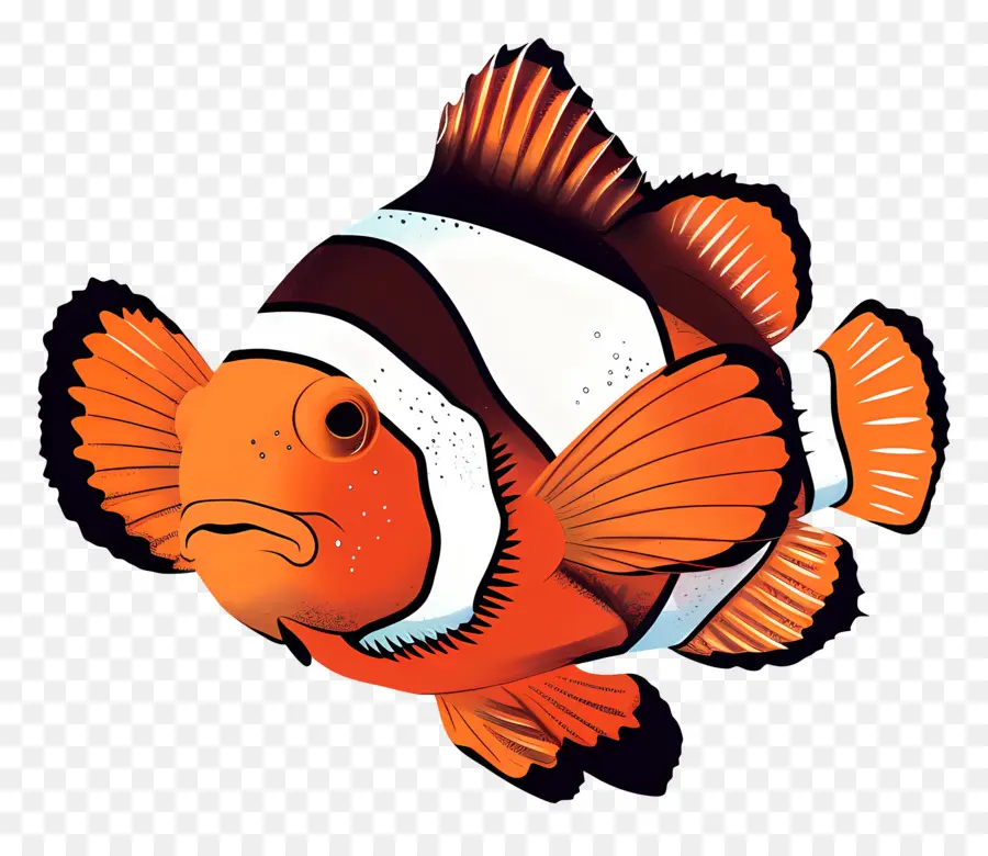 Des Poissons Clowns，Poisson Clown PNG