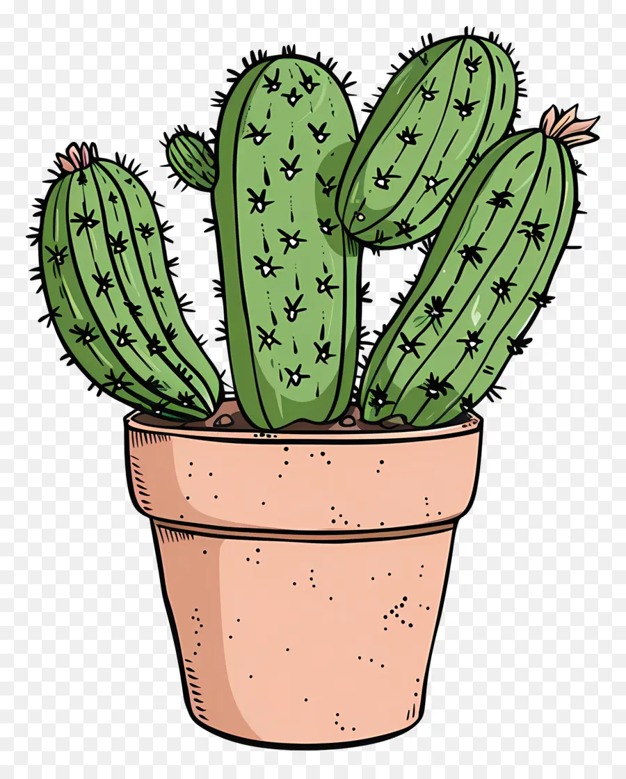 Pot De Cactus，Cactus PNG