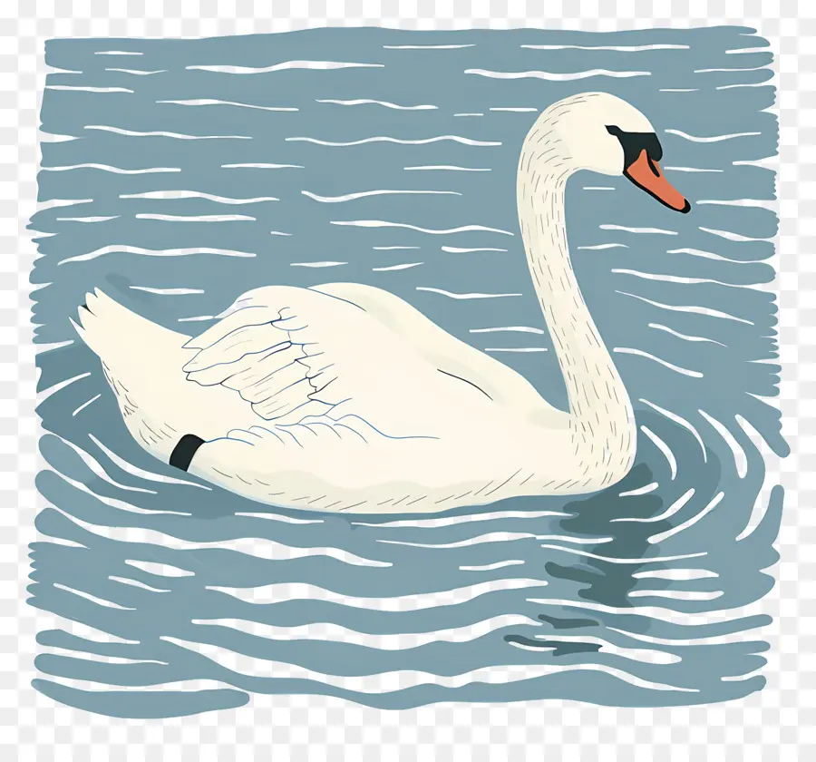 Piscine Swan，Cygne PNG