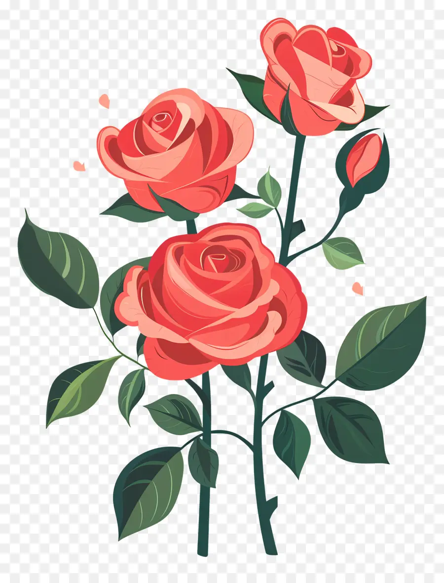 Roses Rouges，Rose Rouge PNG