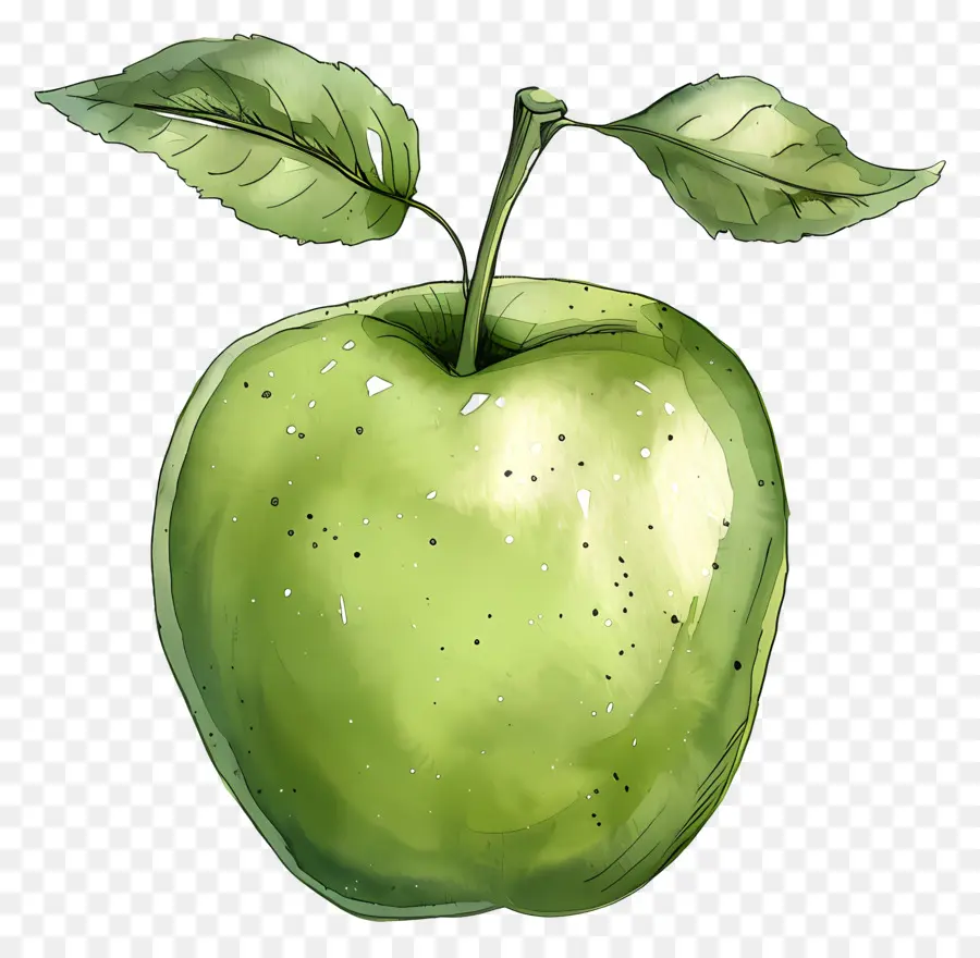 La Pomme Verte，Peinture à L'aquarelle PNG