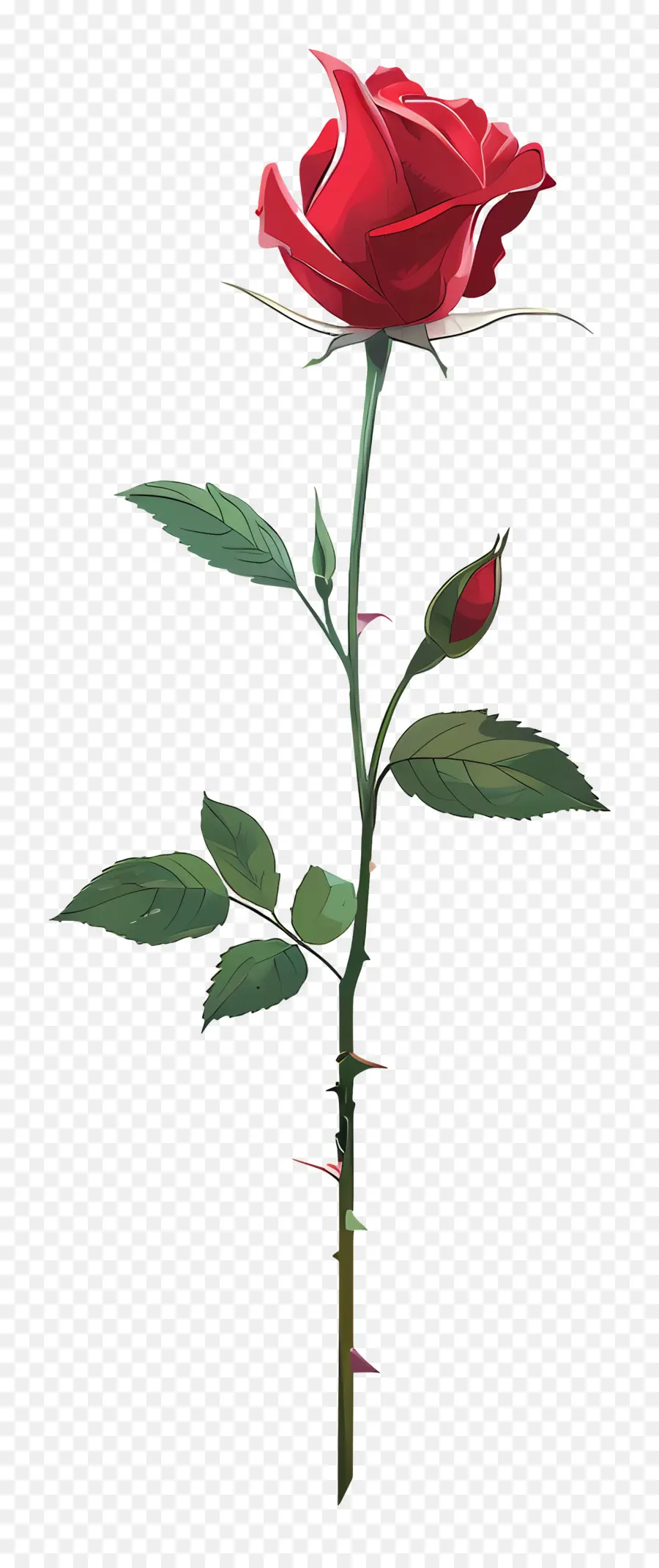 Tige De Rose，Rose Rouge PNG