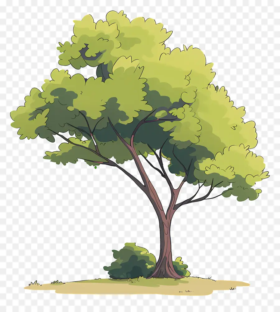 Arbre Clipart，Arbre Vert PNG