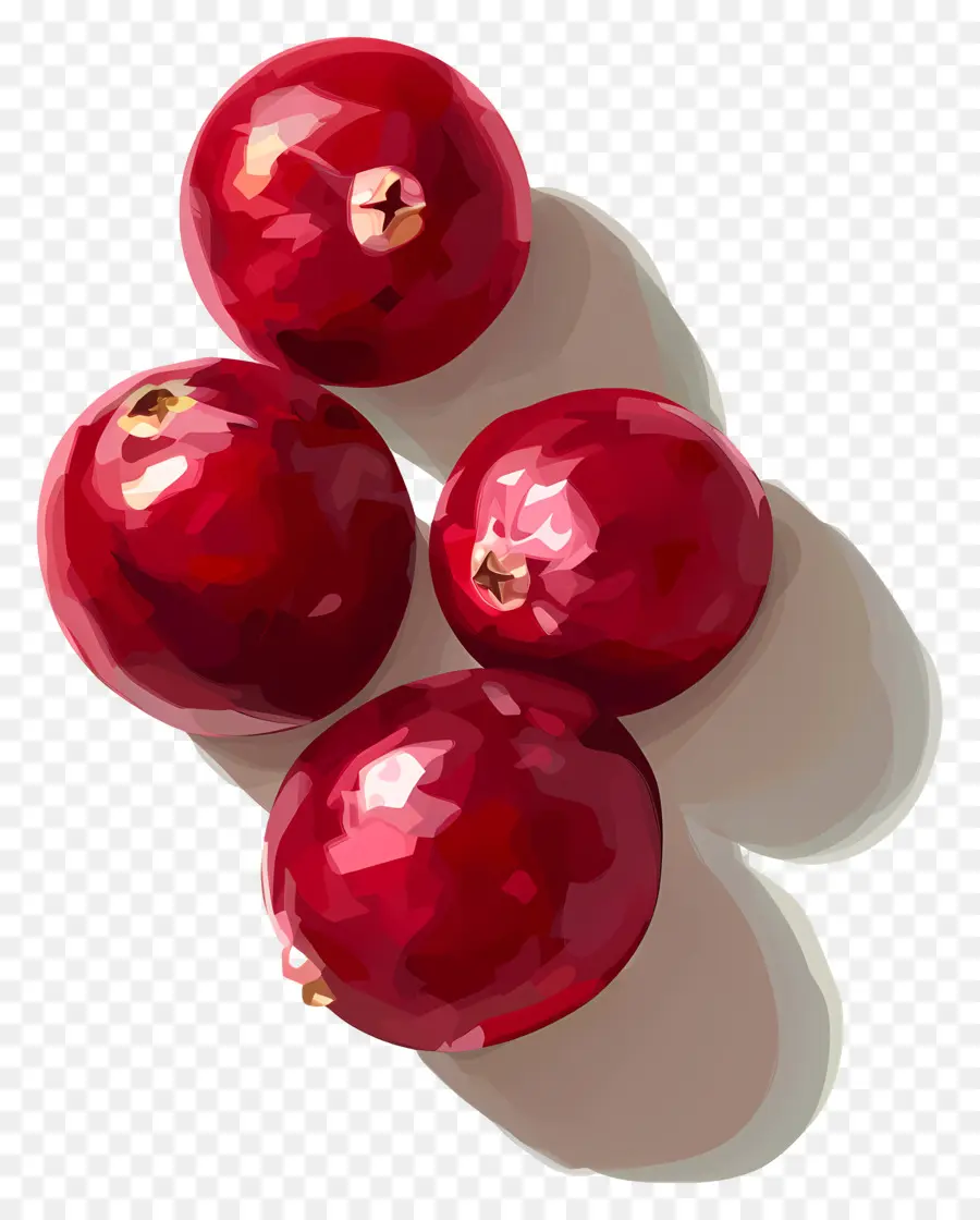 La Canneberge，Fruits Rouges PNG