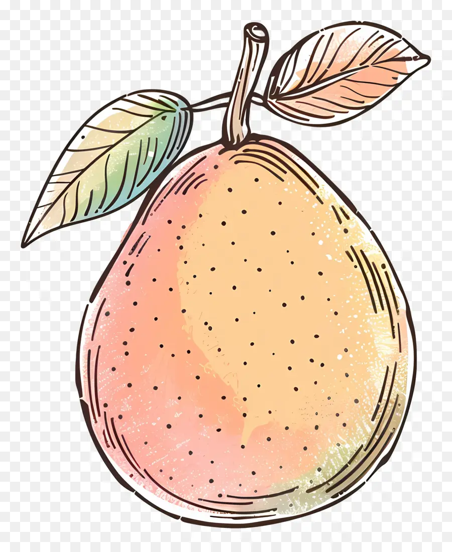 Doodle Mangue，Poire PNG