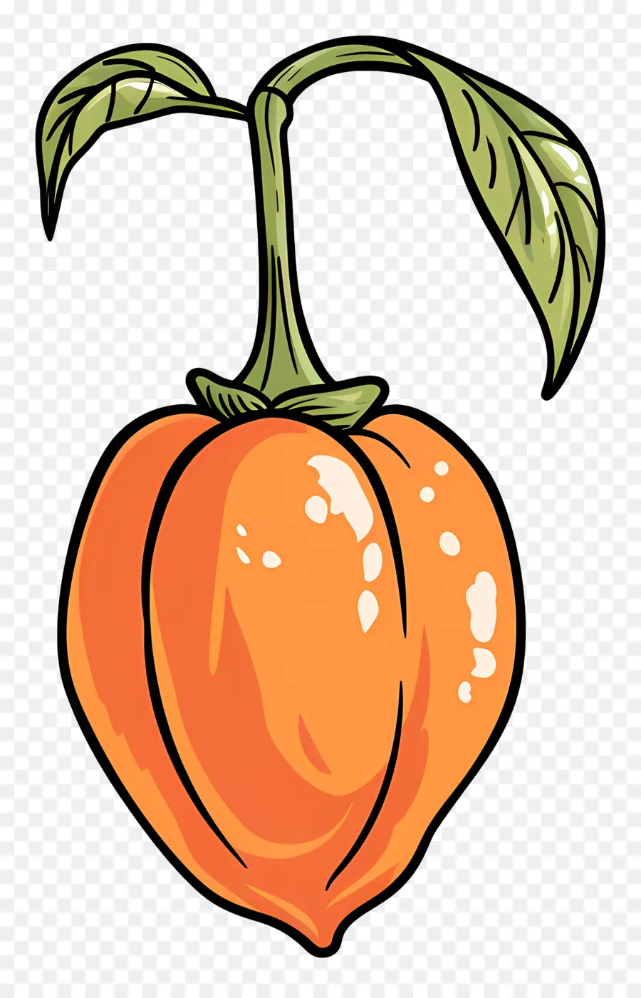 Poivre De Habanero，Fruit D'orange Rose PNG