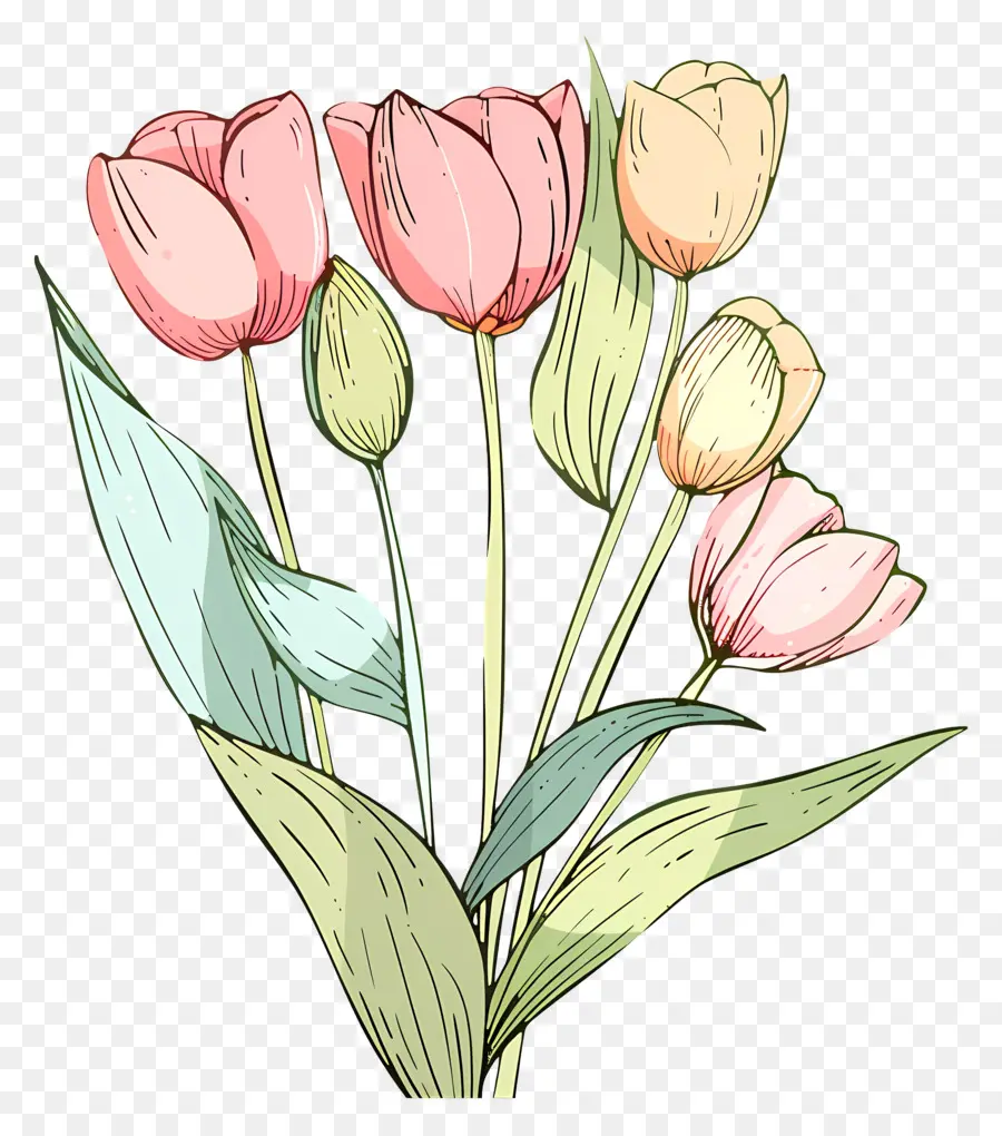 Bouquet De Tulipes，Tulipes Roses PNG