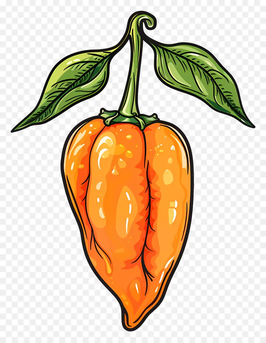 Poivre De Habanero，Piment PNG