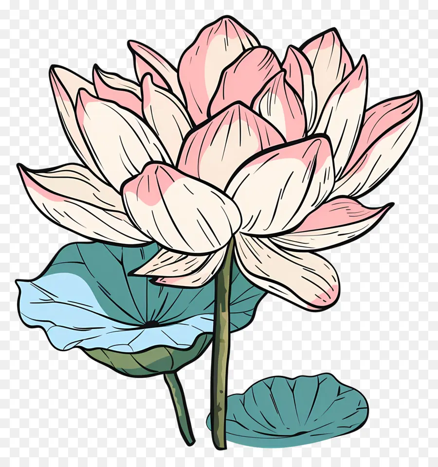 Fleur De Lotus，Fleur De Lotus Rose PNG