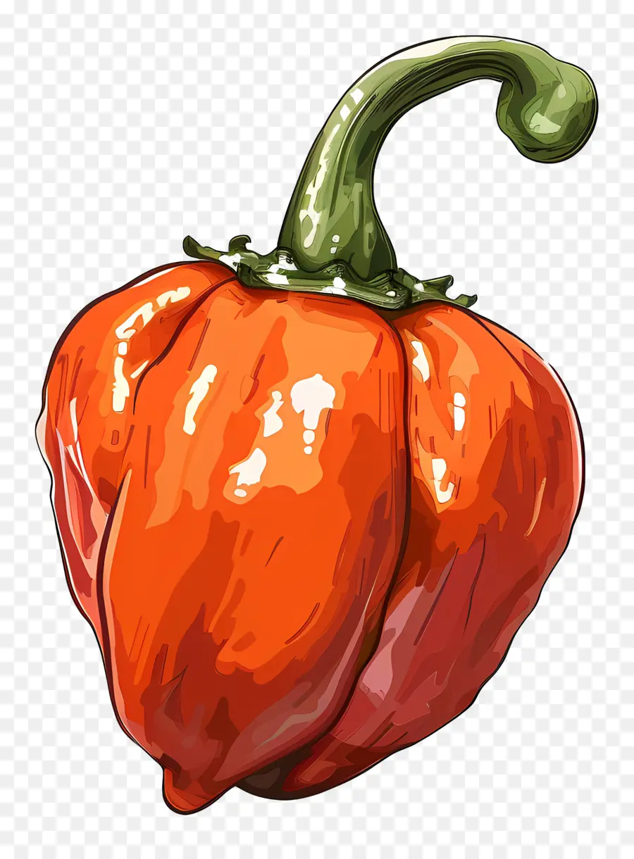 Poivre De Habanero，Poivron Rouge PNG