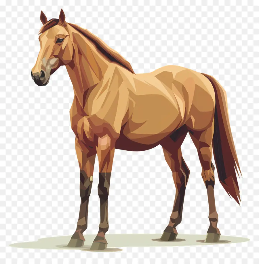 Dessin Animé Cheval，Cheval PNG