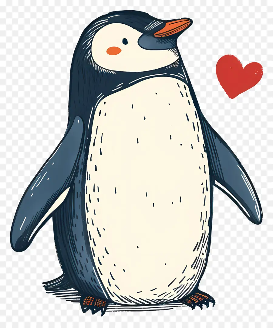 Cartoon Pingouin，Pingouin PNG