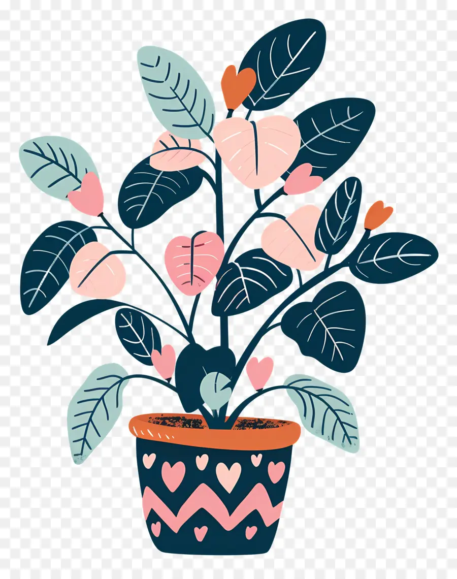 Plante De Stephania，Plante En Pot PNG