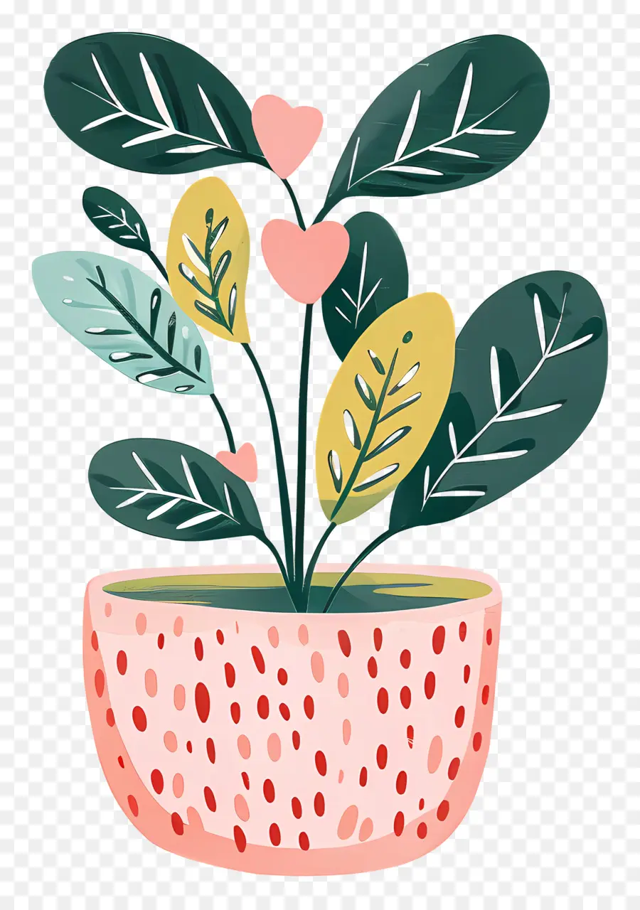 Plante De Stephania，Plante En Pot PNG