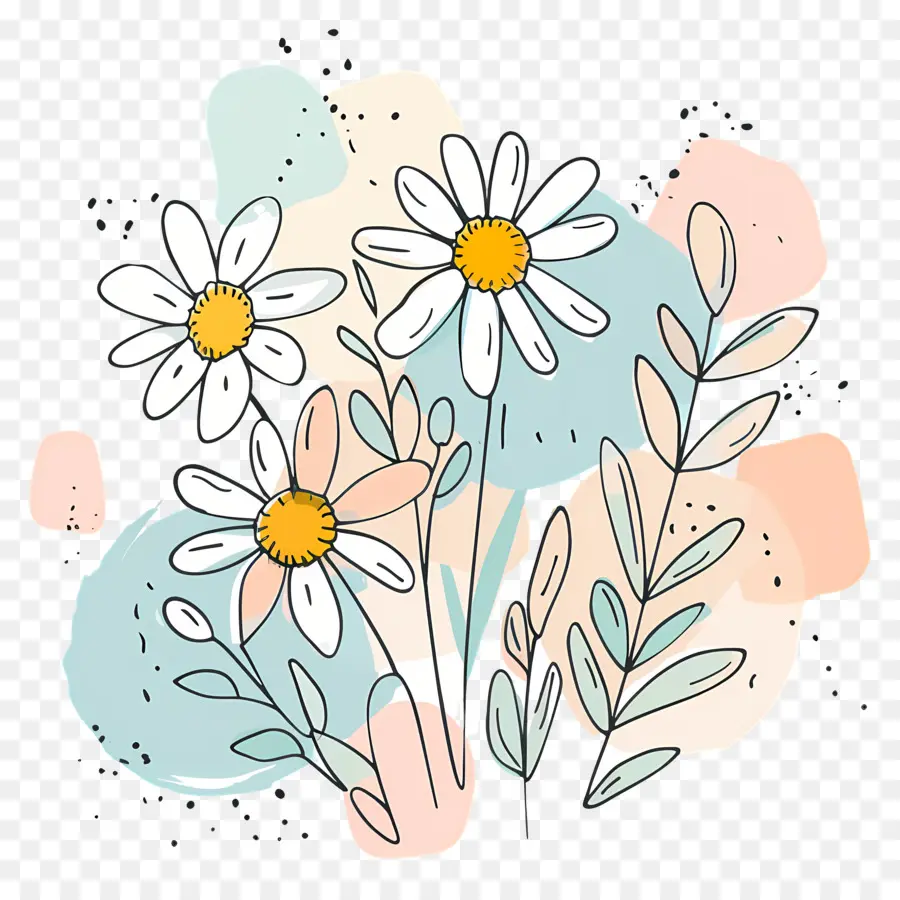 Bouquet Marguerite，Fleurs PNG