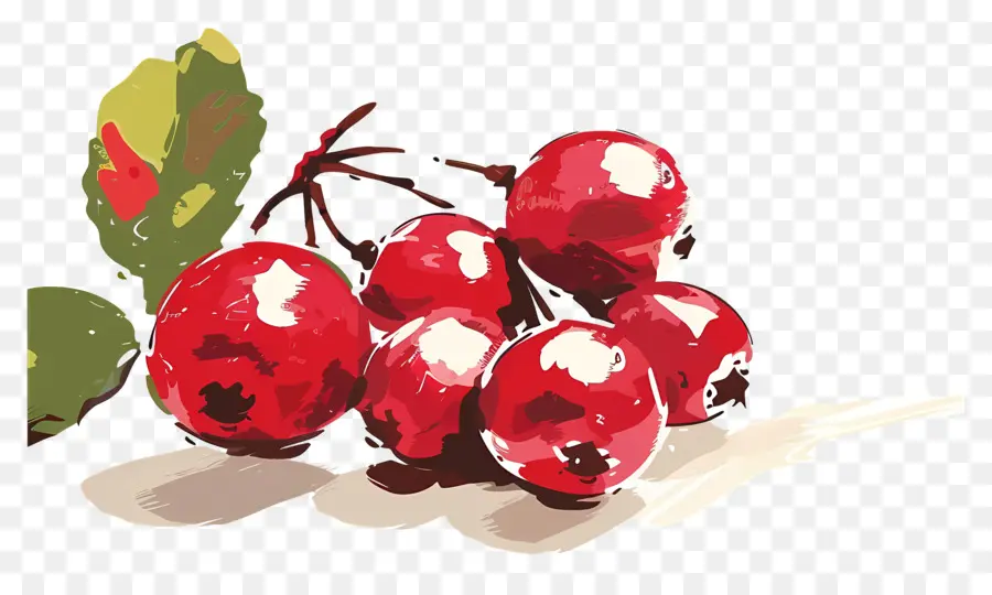 La Canneberge，Framboises PNG