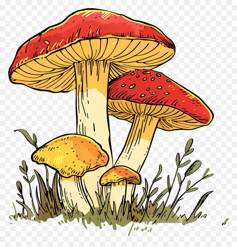 Champignons，L'herbe PNG