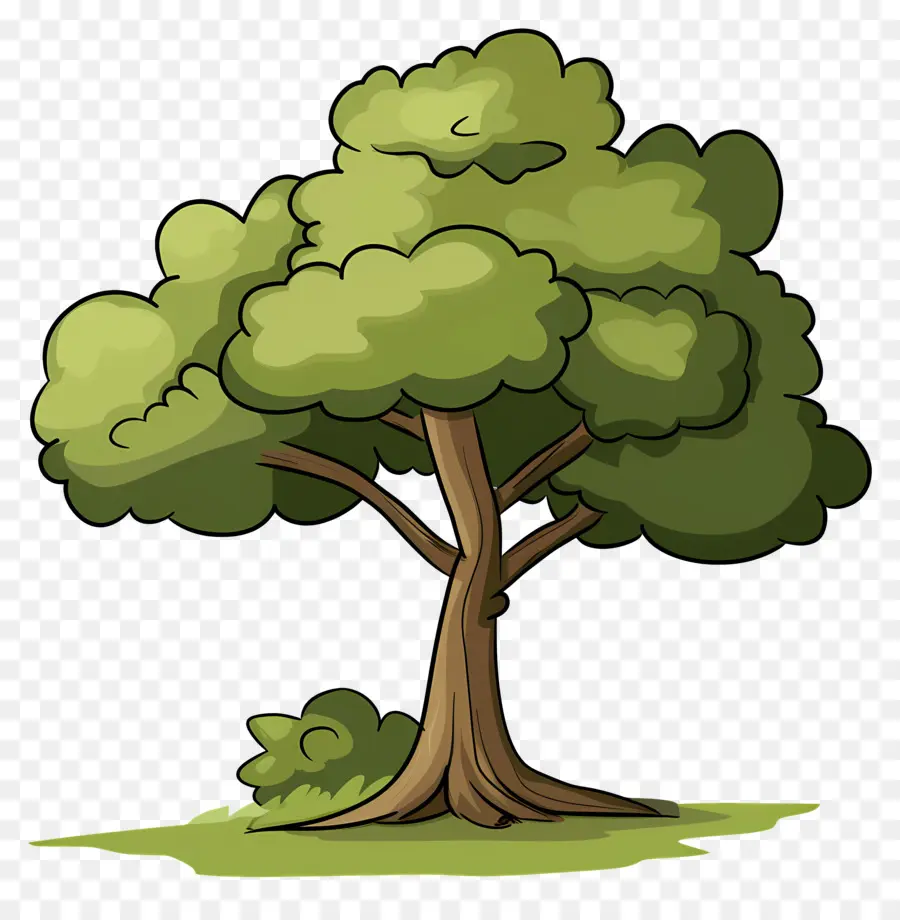 Arbre Clipart，Arbre PNG