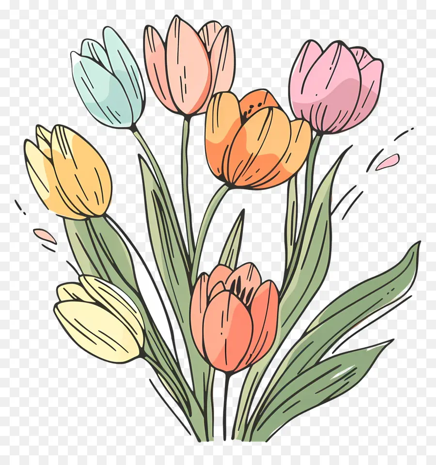 Bouquet De Tulipes，Les Tulipes PNG