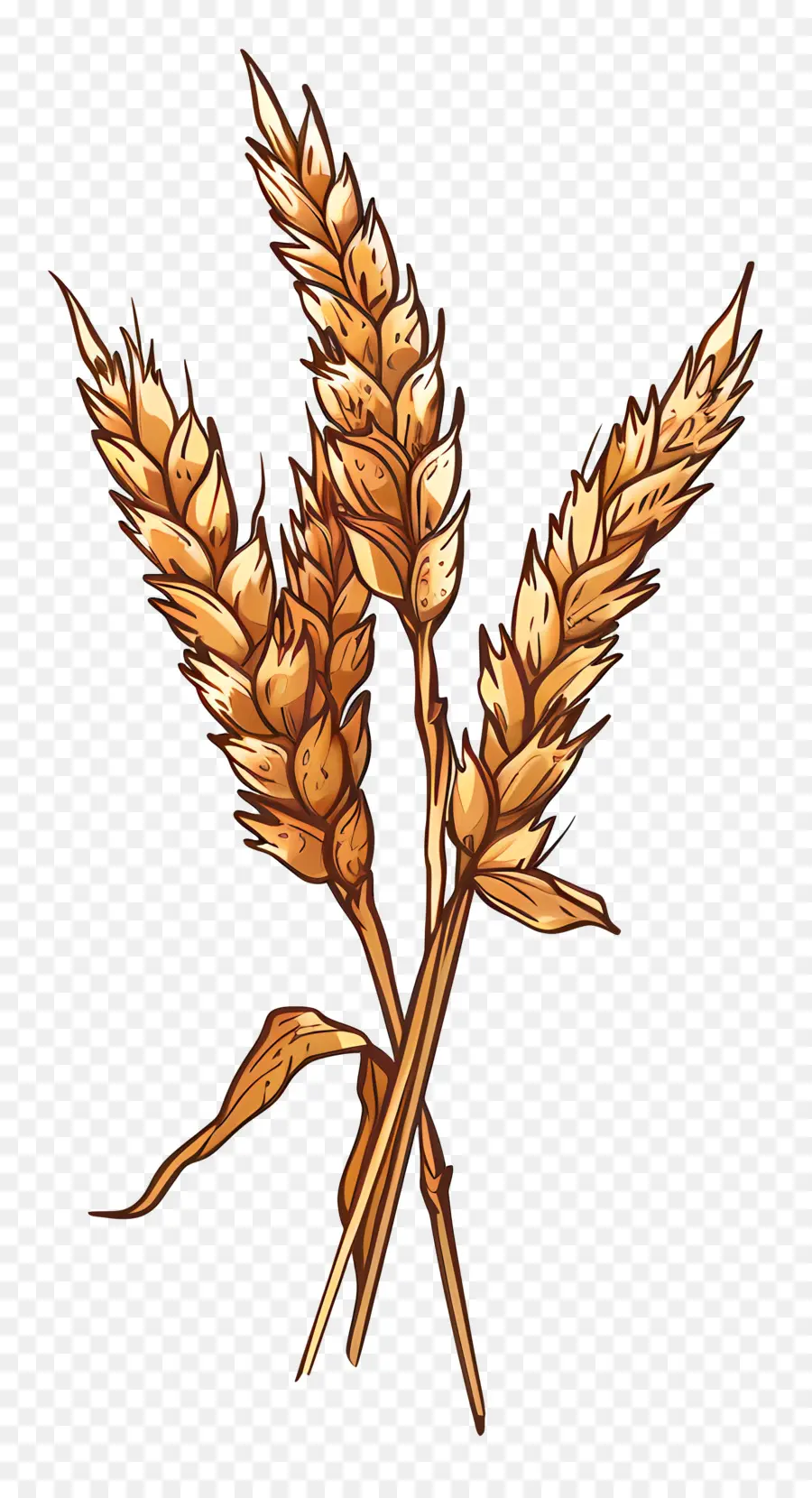 Le Blé，Grain PNG