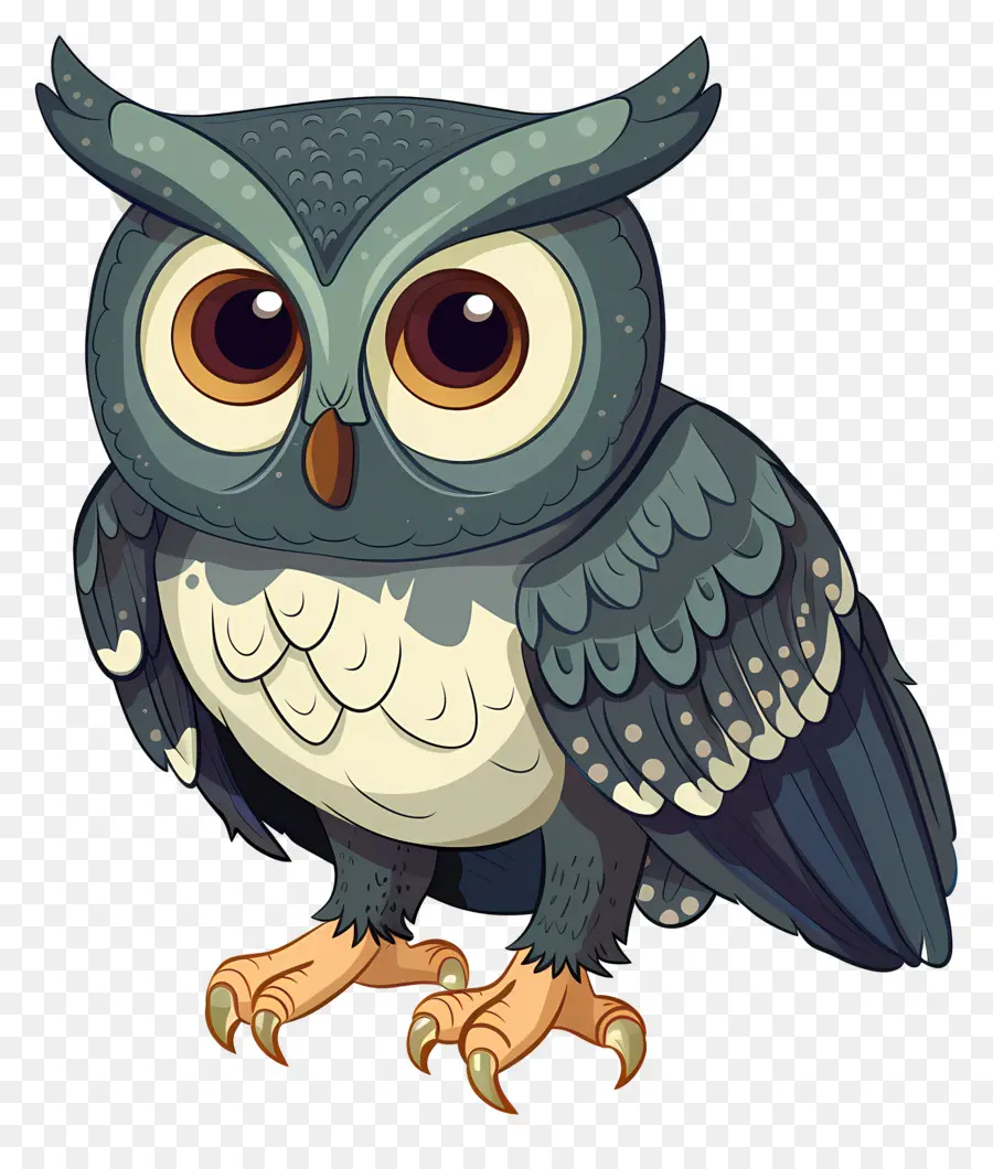 Cartoon Hibou，Chouette PNG