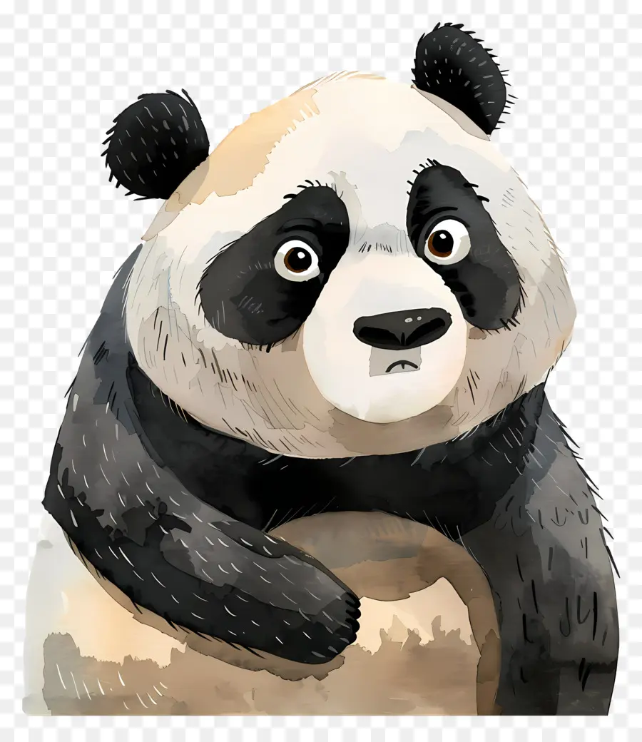 Dessin Animé De Panda，Ours De Panda PNG