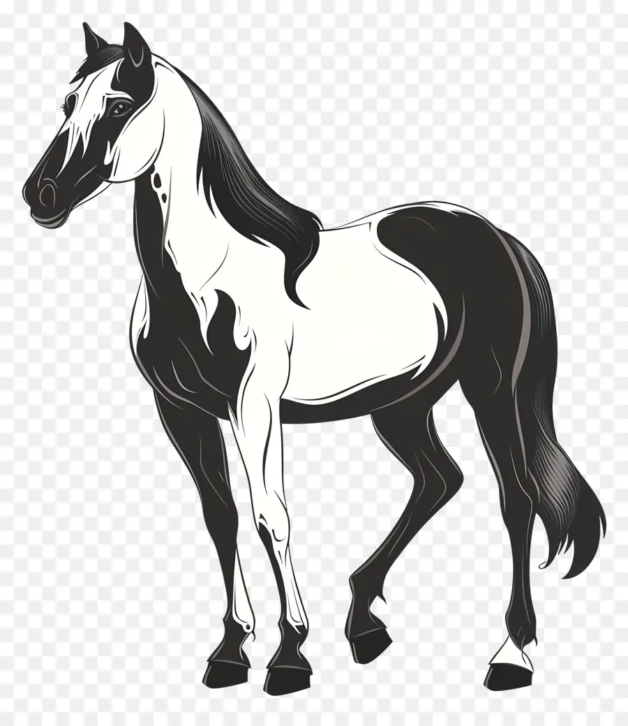 Dessin Animé Cheval，Noir Et Blanc PNG