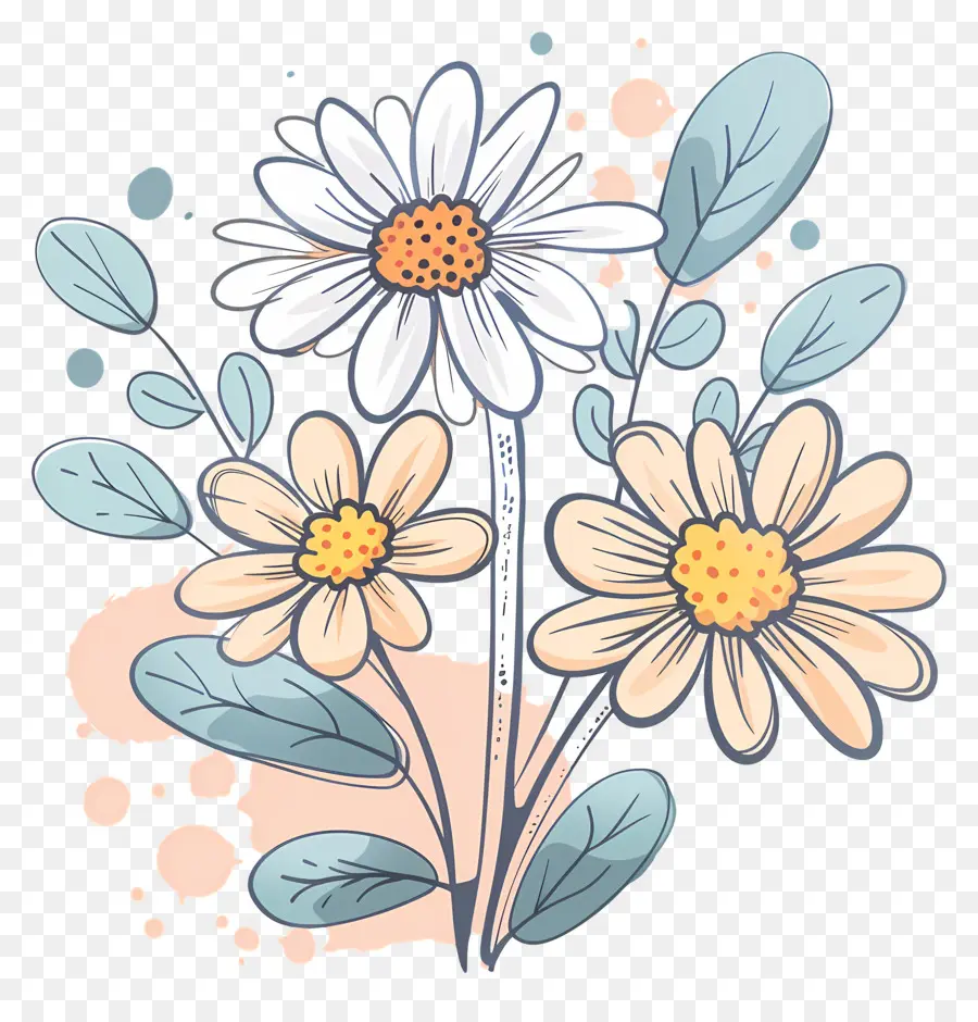 Bouquet Marguerite，Blanc Marguerites PNG