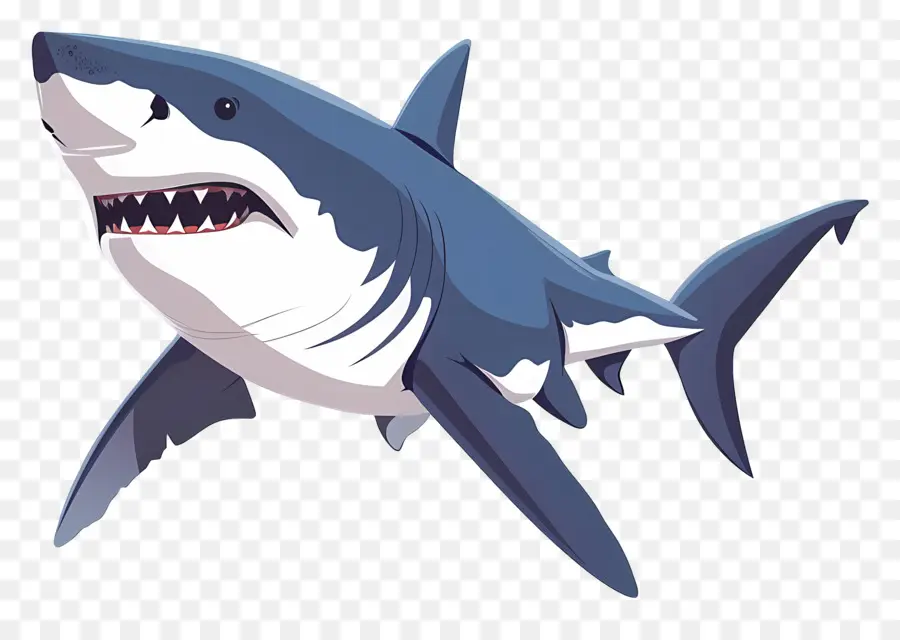 Dessin Animé Requin，Requin PNG