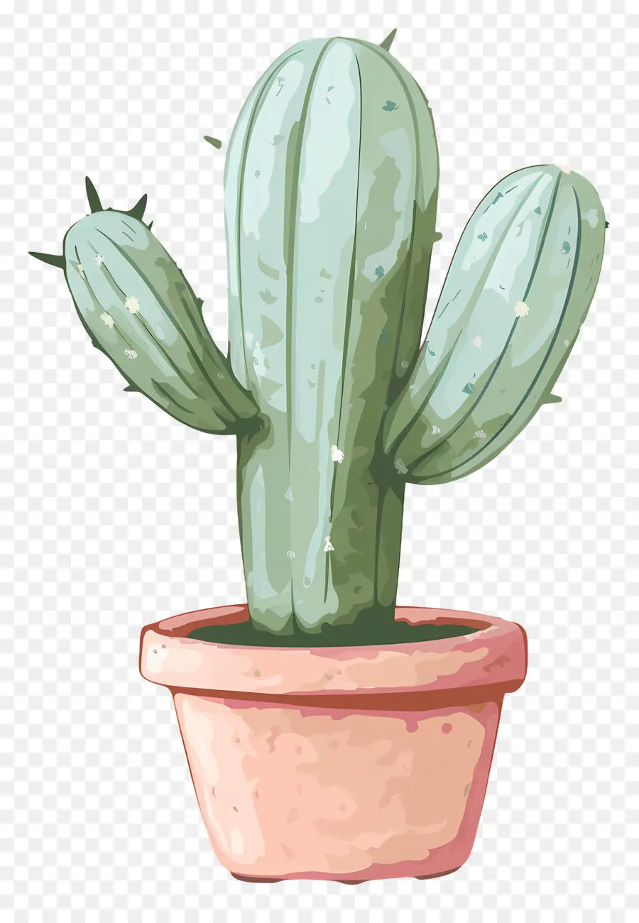 Vert Cactus，Cactus PNG