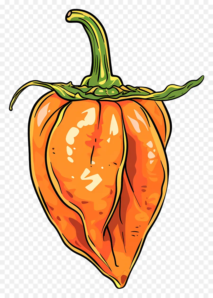 Poivre De Habanero，Dessin De Piment PNG