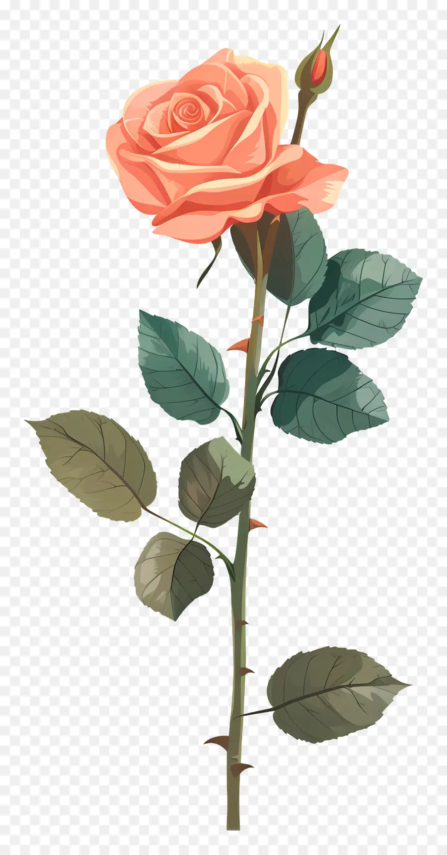 Tige De Rose，Rose PNG