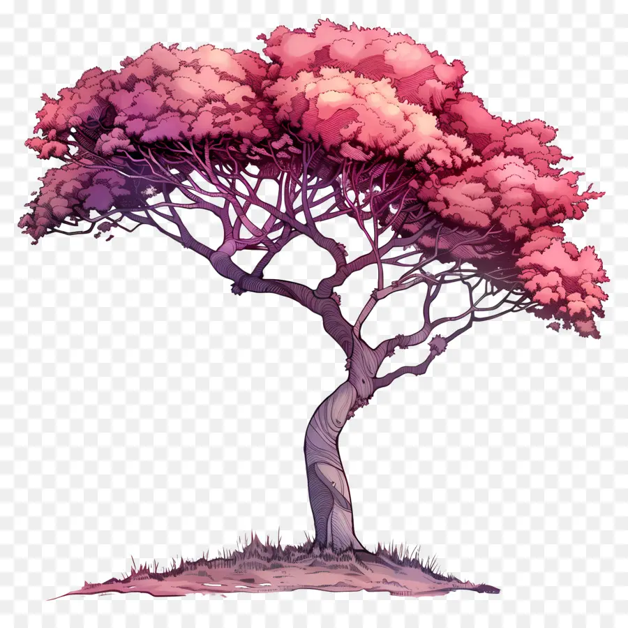 Arbre Clipart，Rose Feuilles PNG