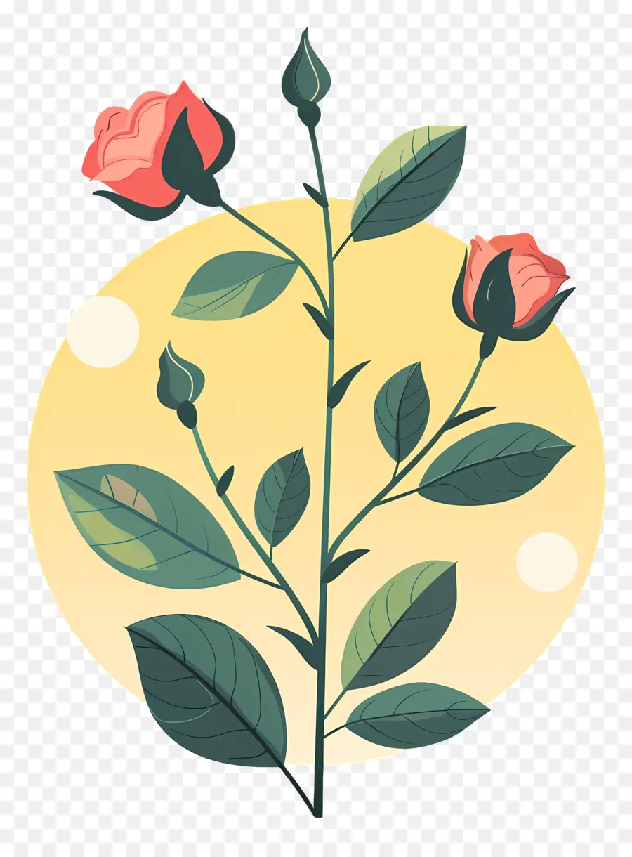 Tige De Rose，Rose Plante PNG