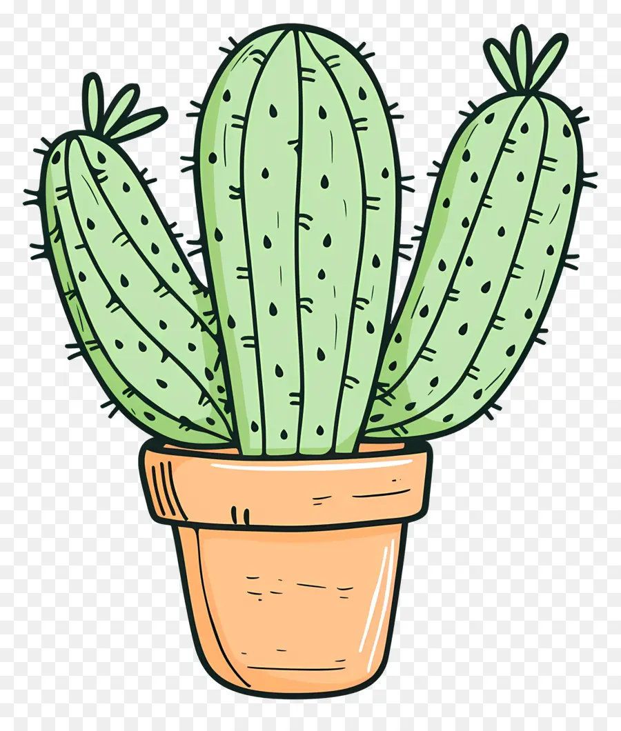 Vert Cactus，Cactus PNG