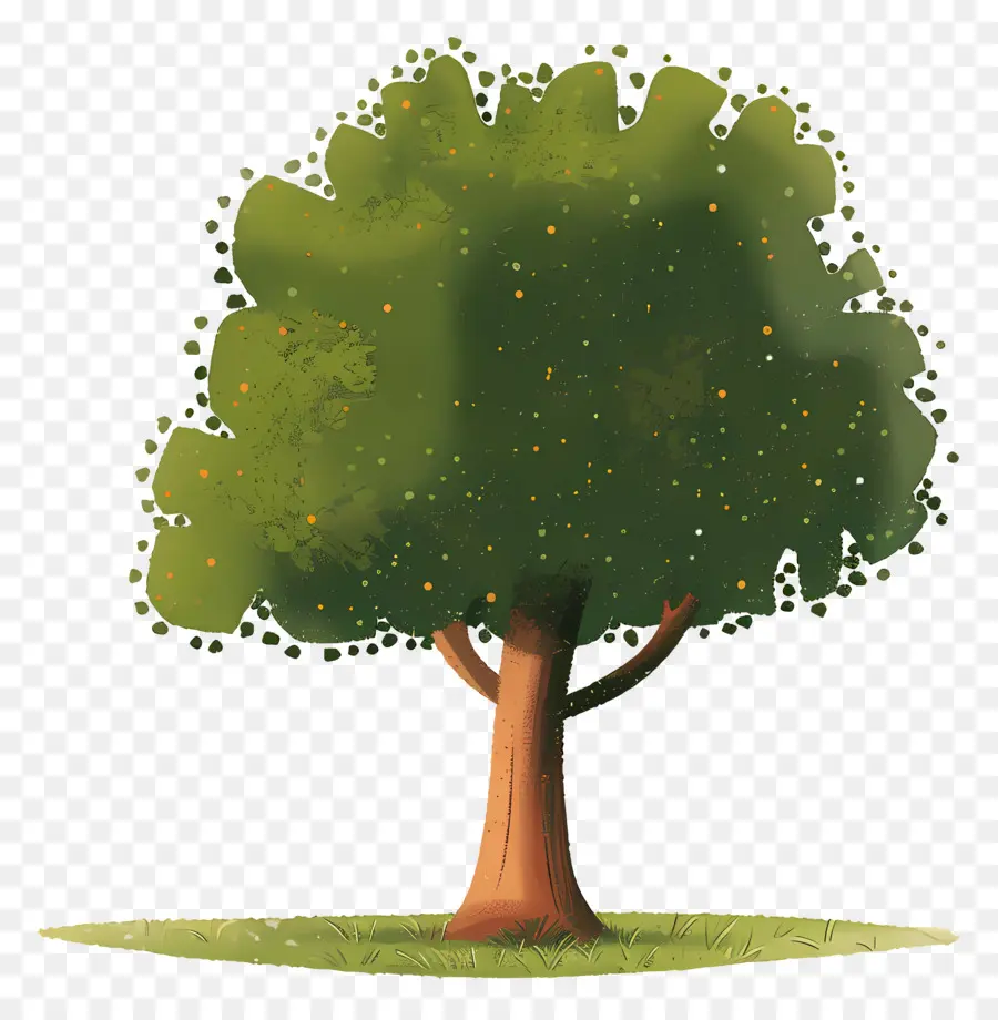 Arbre Clipart，Arbre Vert PNG